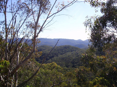 Blue Mts.jpg